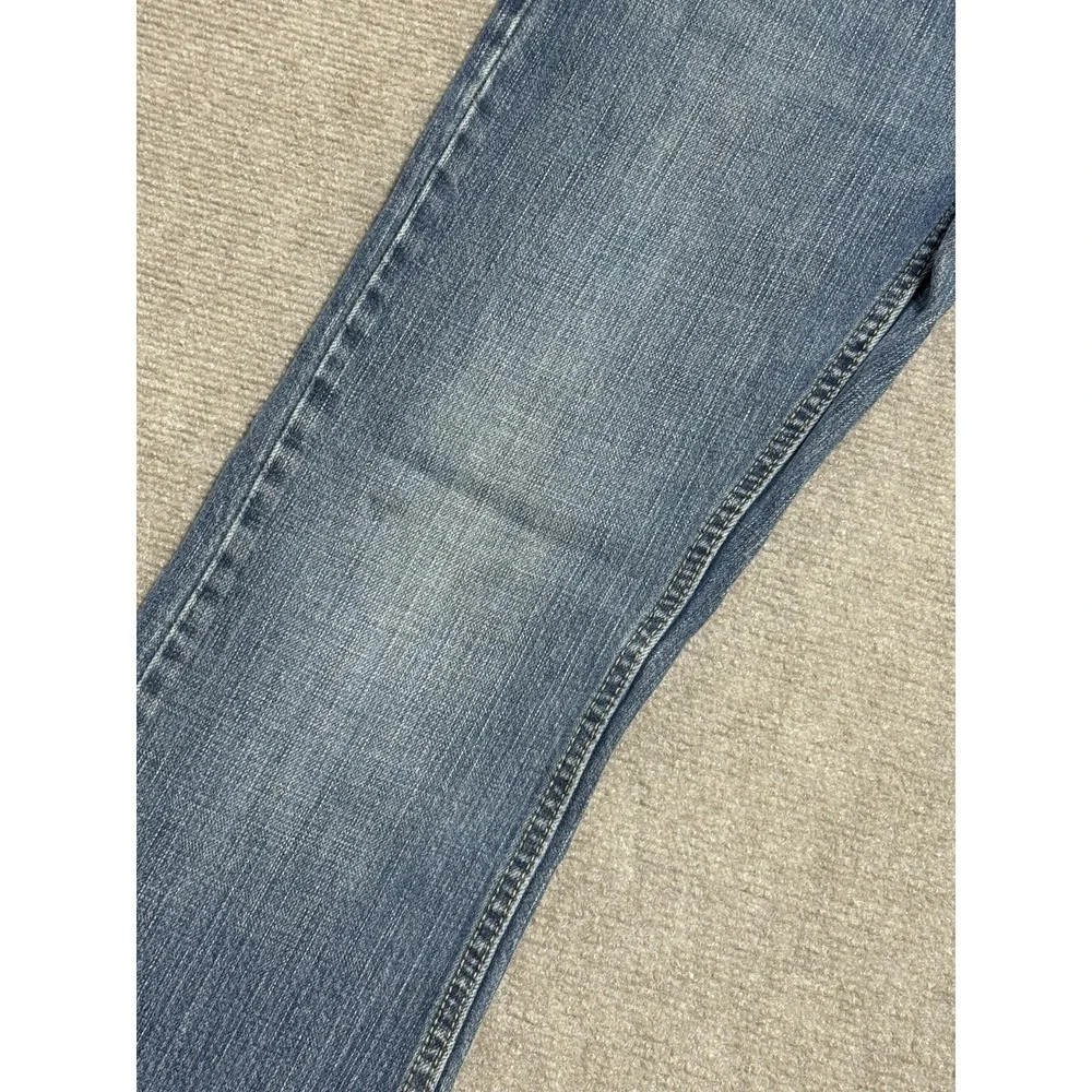 Levis levis 527